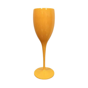 Acrylic Champagne Flute (Set of 2)