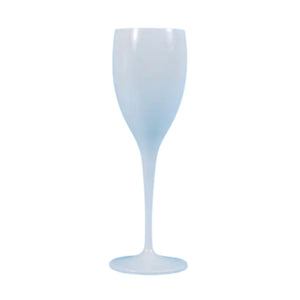 Acrylic Champagne Flute (Set of 2)